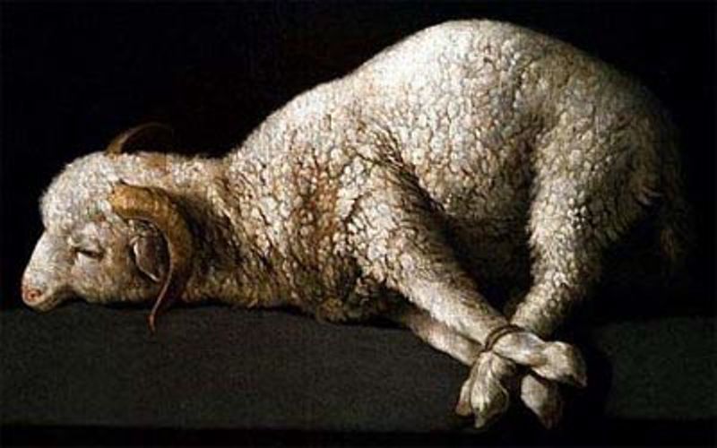 Agnus Dei Zurbaran.jpg